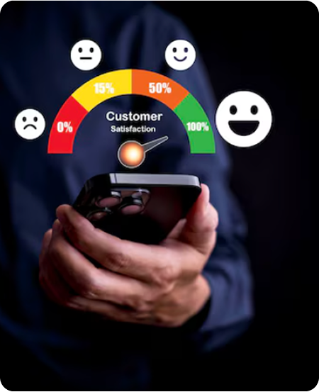 Customer sentiment analysis interface